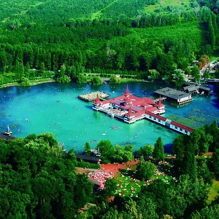Affordable Luxury With Pool Sauna Playground And Wifi Villa